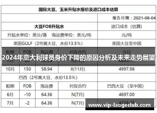2024年意大利球员身价下降的原因分析及未来走势展望