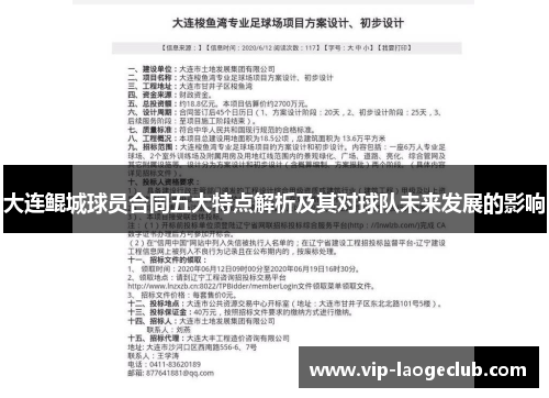 大连鲲城球员合同五大特点解析及其对球队未来发展的影响