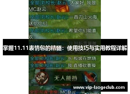 掌握11.11表情包的精髓：使用技巧与实用教程详解