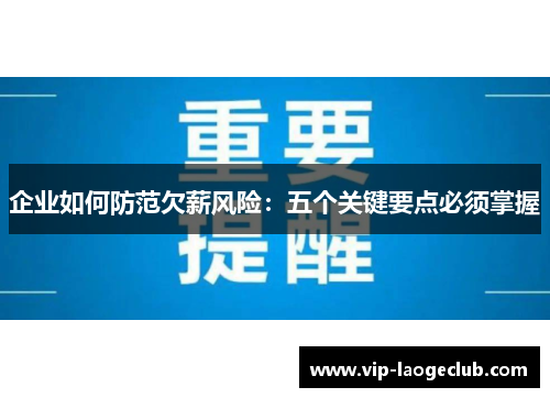 企业如何防范欠薪风险：五个关键要点必须掌握
