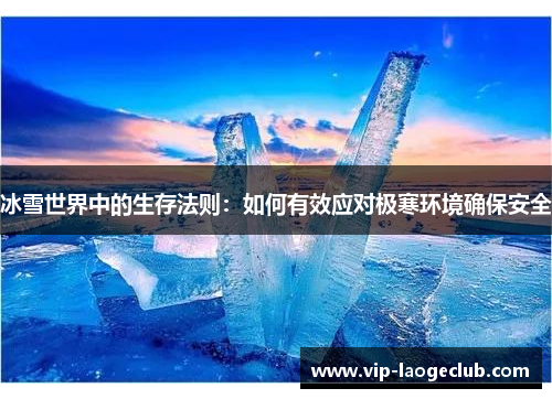 冰雪世界中的生存法则：如何有效应对极寒环境确保安全
