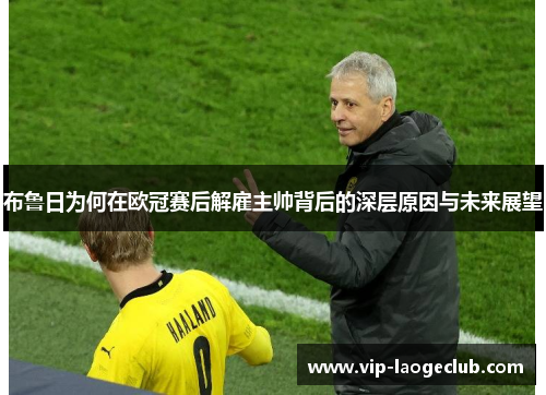 布鲁日为何在欧冠赛后解雇主帅背后的深层原因与未来展望
