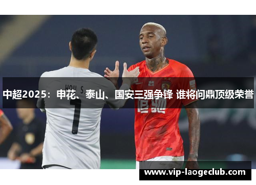 中超2025:申花、泰山、国安三强争锋 谁将问鼎顶级荣誉 中超2025:申花、泰山、国安三强争锋 谁将问鼎顶级荣誉