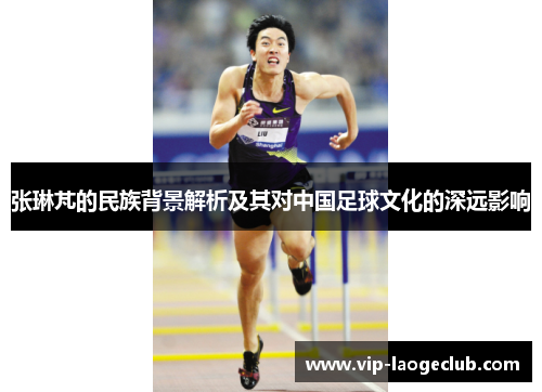 张琳芃的民族背景解析及其对中国足球文化的深远影响