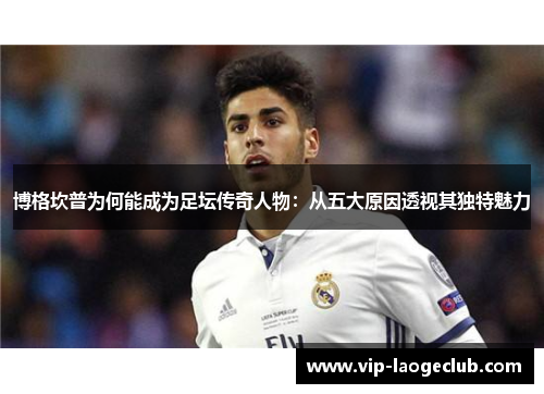 博格坎普为何能成为足坛传奇人物：从五大原因透视其独特魅力
