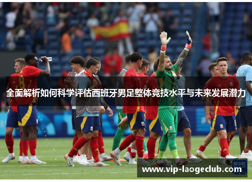 全面解析如何科学评估西班牙男足整体竞技水平与未来发展潜力