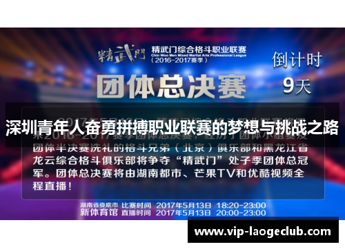 深圳青年人奋勇拼搏职业联赛的梦想与挑战之路