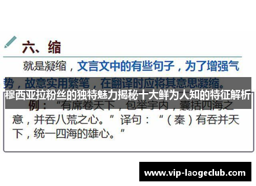 穆西亚拉粉丝的独特魅力揭秘十大鲜为人知的特征解析