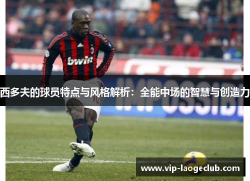西多夫的球员特点与风格解析:全能中场的智慧与创造力 西多夫的球员特点与风格解析:全能中场的智慧与创造力