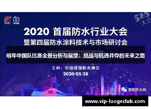 明年中国队比赛全景分析与展望：挑战与机遇并存的未来之路