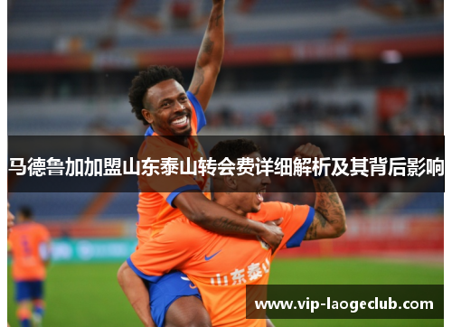 马德鲁加加盟山东泰山转会费详细解析及其背后影响
