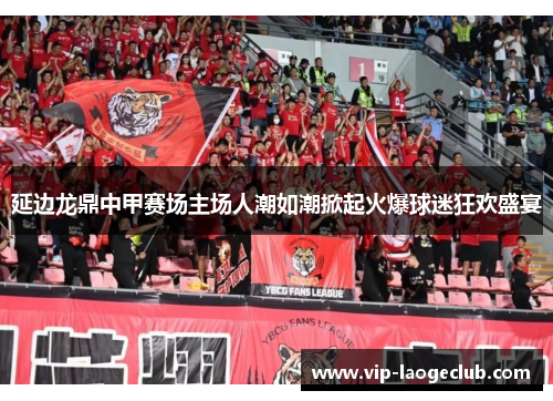 延边龙鼎中甲赛场主场人潮如潮掀起火爆球迷狂欢盛宴