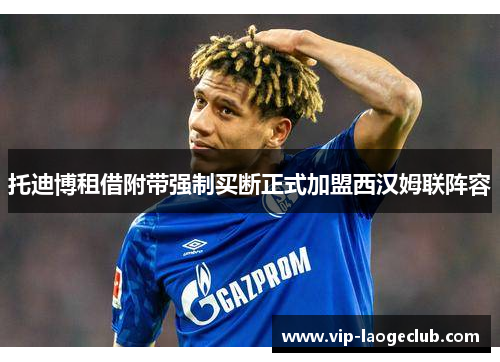 托迪博租借附带强制买断正式加盟西汉姆联阵容